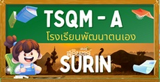 TSQM A